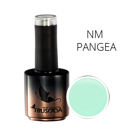 NM PANGEA